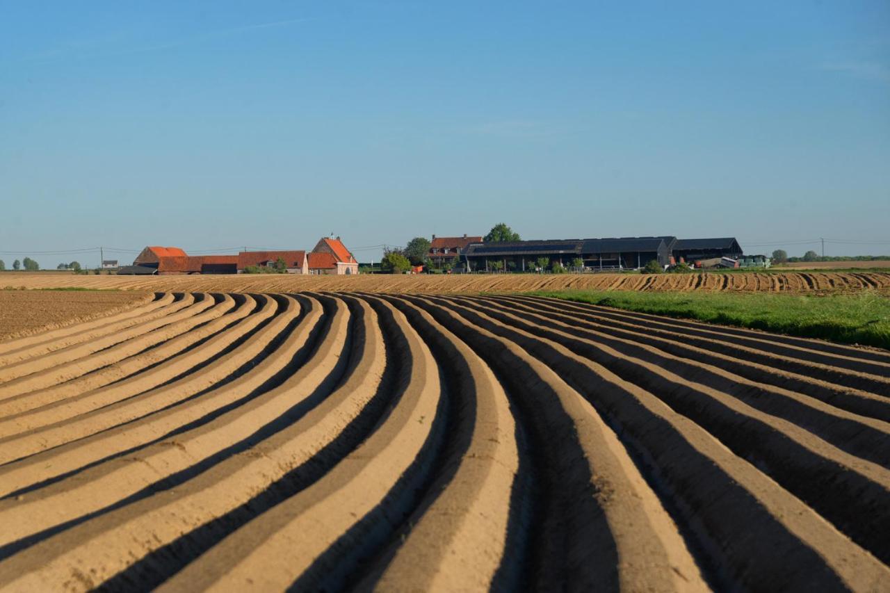 Hoeve Ten Rooden Duifhuize Sint-Denijs Bagian luar foto